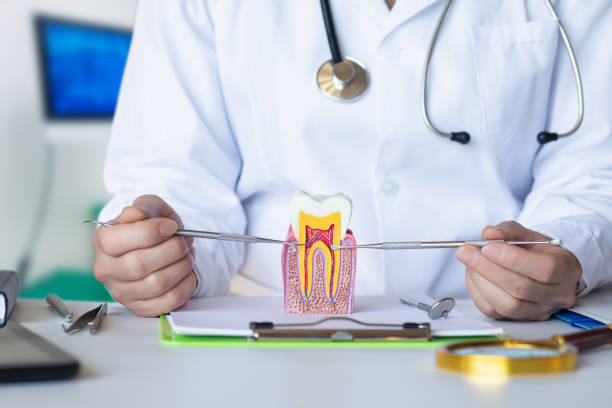 Best Emergency Denture Repair in Black Canyon City, AZ